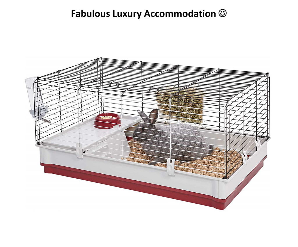 Guinea pig cage ensures your favorite animals can be inside all the time!