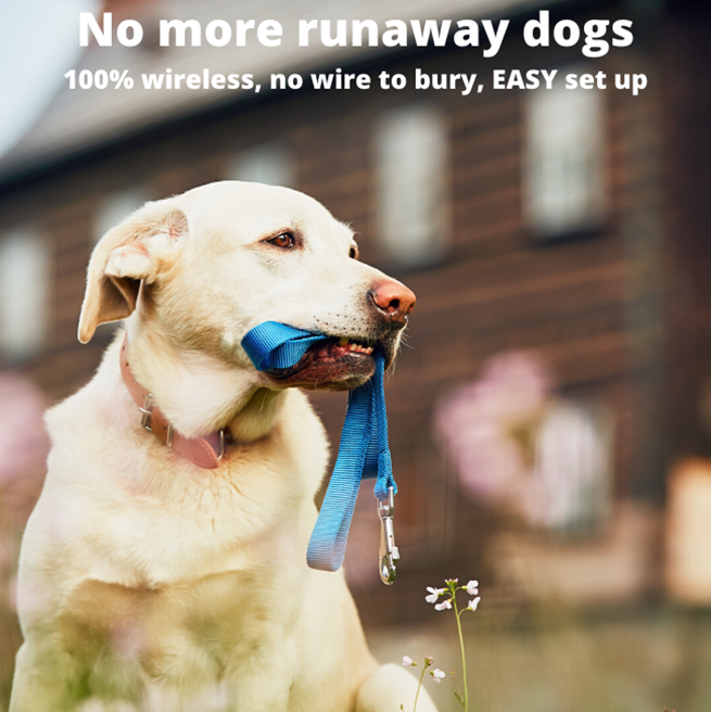 No more run away dogs with this stay and play wireless fence – let your dogs run in and play in the garden without worrying about their safety