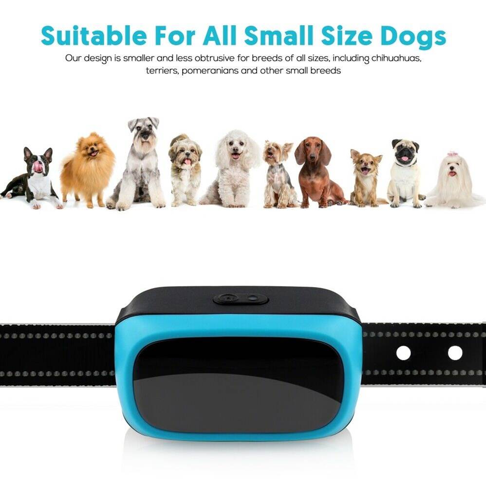 Best stop barking collar for small dogs, making it quick and easy for them to learn how to behave.  Best for dogs weighing between 10 and 20 pounds.